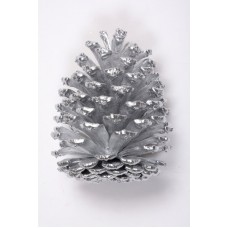 SLASH PINE CONE 4"-6" (PICKED) SILVER-OUT OF STOCK